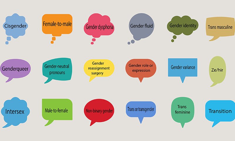 Image showing speech bubbles with terms related to gender, including cisgender, gender dysphoria, intersex, trans and gender dysphoria