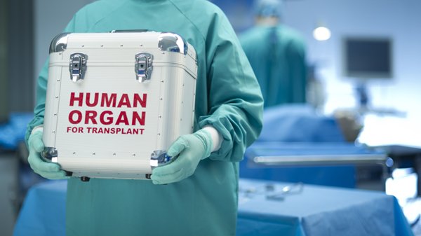 Organ_donation