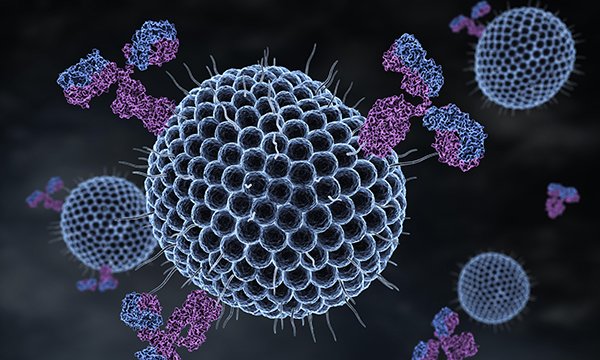 Picture shows a 3D illustration of herpes viruses and antibodies. Nurses and GPs play a pivotal role in shingles vaccine uptake, according to researchers investigating why people have the vaccination.